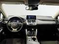 Lexus NX 300 300h Business 2WD - thumbnail 8