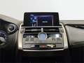 Lexus NX 300 300h Business 2WD - thumbnail 15