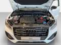 Audi Q2 35 TDI advanced *AHK*PDC*RFK*SHZ*VC*Matrix* Weiß - thumbnail 7