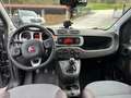 Fiat Panda 1.2 City Cross 4x2 Grau - thumbnail 10