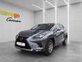 Lexus NX 300h Business Line Hybrid Aut. *MWST*LEASING*ACC*LEDER* Grau - thumbnail 1