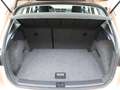 SEAT Arona 1.0 TSI 115 PK DSG Xcellence Launch Edition | Airc Paars - thumbnail 13