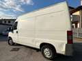 Fiat Ducato 2.5 D Blanc - thumbnail 4
