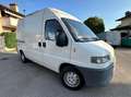Fiat Ducato 2.5 D Blanc - thumbnail 1