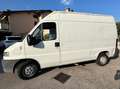 Fiat Ducato 2.5 D Blanc - thumbnail 5