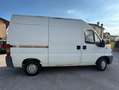 Fiat Ducato 2.5 D Blanc - thumbnail 6