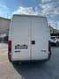 Fiat Ducato 2.5 D Blanc - thumbnail 3