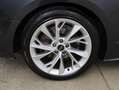 Audi A5 40 TFSI advanced Grau - thumbnail 6