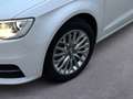 Audi A3 1.6 TDI Ambiente Weiß - thumbnail 6