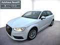 Audi A3 1.6 TDI Ambiente Weiß - thumbnail 1