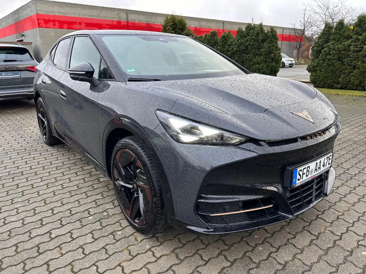 CUPRA Tavascan Endurance Grau - 2