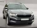 Skoda Karoq 1.5 TSI DSG Selection AHK ACC Matrix Navi Grau - thumbnail 6