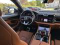 Lamborghini Urus URUS SE Grau - thumbnail 22