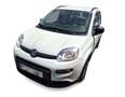 Fiat Panda 1.0 HYBRID 70CV CITY LIFE Bianco - thumbnail 2