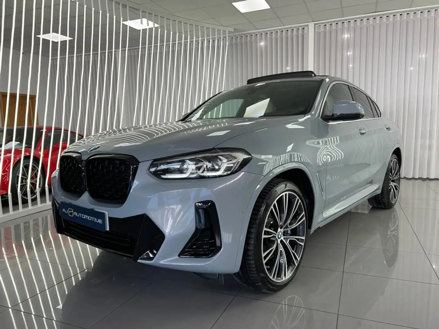 BMW X4 xDrive 20dA xLine M Sport Gris - 1
