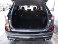 Ford Kuga ST-Line X Hybrid Winter-Paket+LED+B&O-Sound Klima Grau - thumbnail 9