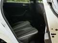 Volkswagen Polo 1.0 TSI Highline Silver White-DSG-LED Blanc - thumbnail 23