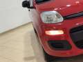 Fiat Panda 1.2 Easy Connect 69cv Rot - thumbnail 9