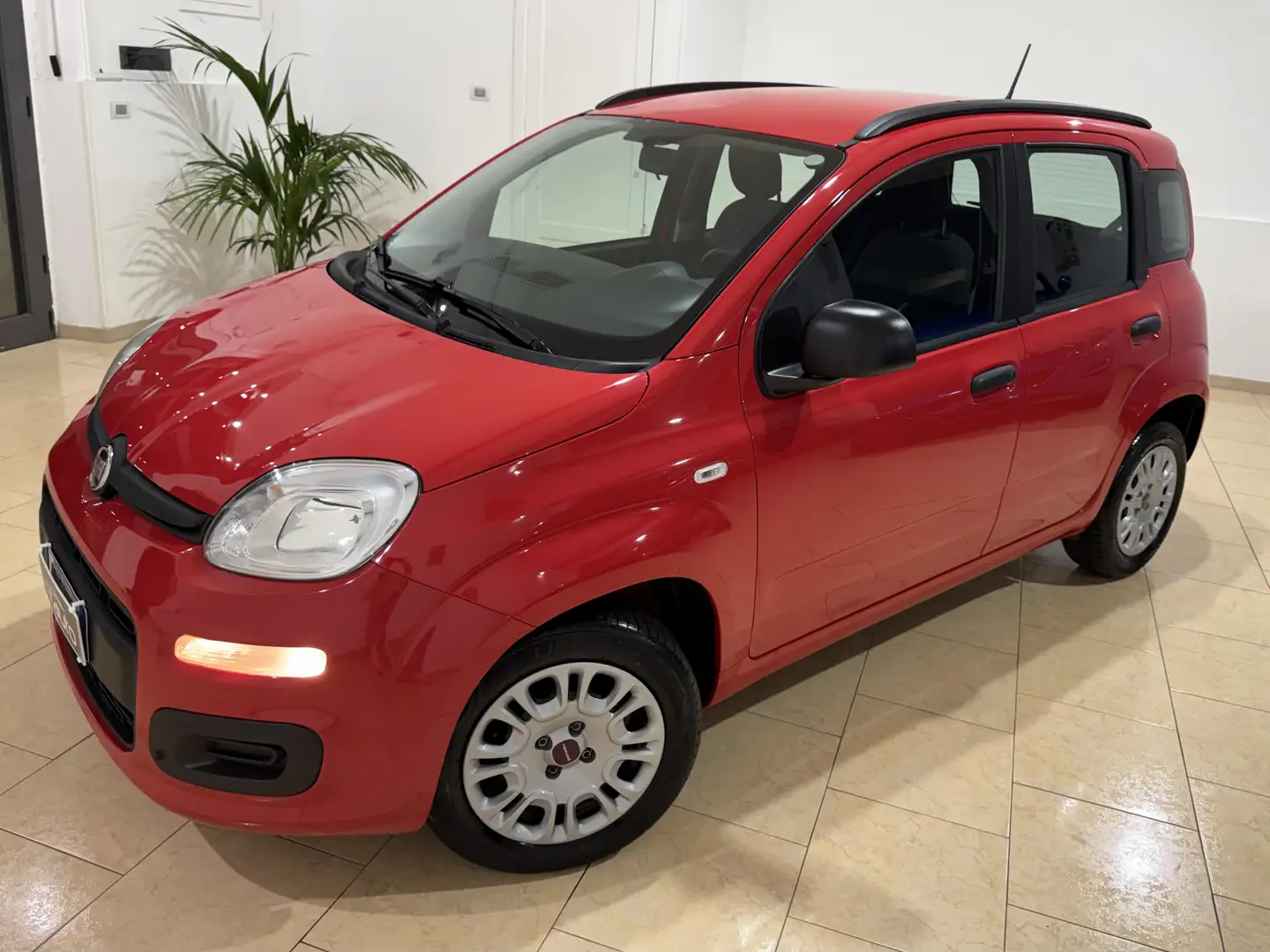 Fiat Panda 1.2 Easy Connect 69cv Rot - 1