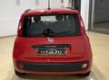 Fiat Panda 1.2 Easy Connect 69cv Rot - thumbnail 5