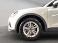 Audi Q3 2.0 TDI ACC DAB+ Shz 35 TDI basis Weiß - thumbnail 21