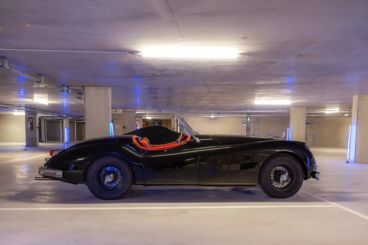 Jaguar XK OTS 1955 - Excellent état - Restauration complète, foto 2