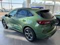 Ford Kuga 2.5 phev st-line 2wd 243cv auto Verde - thumbnail 14