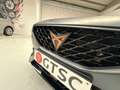 CUPRA Formentor VZ 1.4 e-Hybrid DSG Matte lak 245PK Camera Racing Grau - thumbnail 34