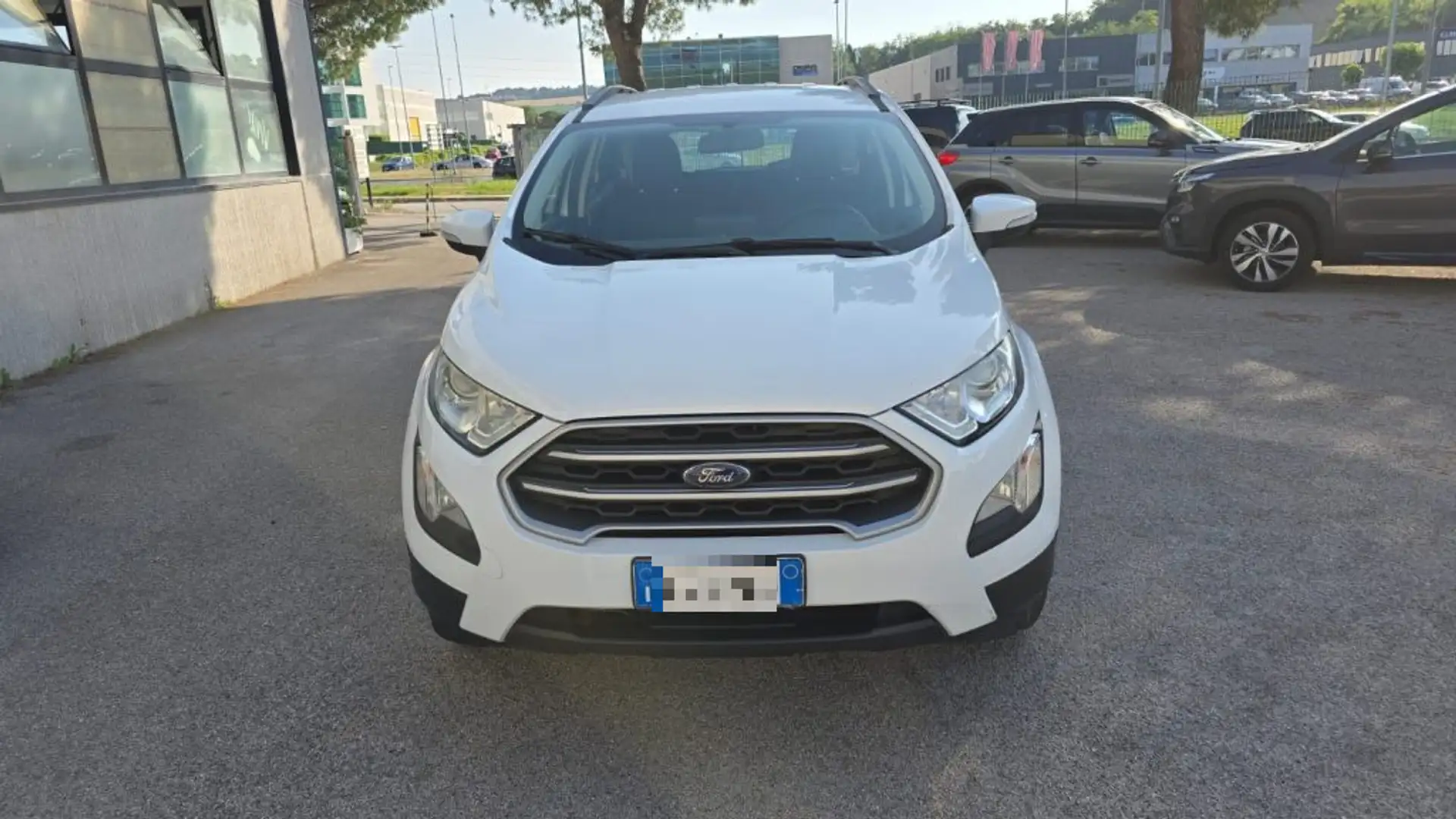 Ford EcoSport 1.0 EcoBoost 100 CV Business Bianco - 2