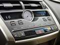 Lexus NX 300h AWD President Line | Mark Levinson | Head-up | 360 Gris - thumbnail 28