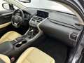 Lexus NX 300h AWD President Line | Mark Levinson | Head-up | 360 Gris - thumbnail 34