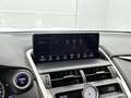 Lexus NX 300h AWD President Line | Mark Levinson | Head-up | 360 Gris - thumbnail 9