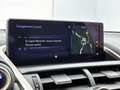 Lexus NX 300h AWD President Line | Mark Levinson | Head-up | 360 Gris - thumbnail 39
