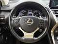 Lexus NX 300h AWD President Line | Mark Levinson | Head-up | 360 Gris - thumbnail 18