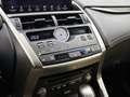 Lexus NX 300h AWD President Line | Mark Levinson | Head-up | 360 Gris - thumbnail 10