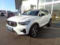 Volvo XC40 Plus Dark 2WD Weiß - thumbnail 6