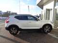 Volvo XC40 Plus Dark 2WD Weiß - thumbnail 5