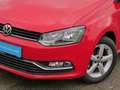 Volkswagen Polo Sound 1.0 Navi Climatronic Rosso - thumbnail 6