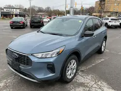 Ford Escape снимка Ford Escape
