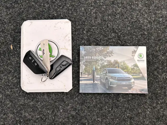 Skoda Enyaq view 8