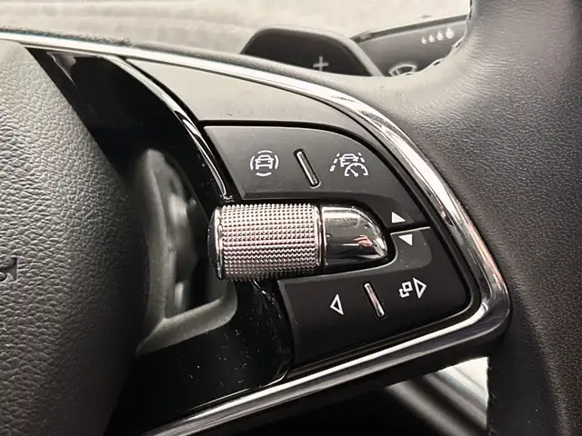 Skoda Enyaq view 21