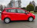 Ford B-Max B-Max Trend - Klima, PDC hinten, Frontscheibenheiz Rouge - thumbnail 7