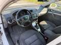 Skoda Octavia 1.2 DSG Weiß - thumbnail 11