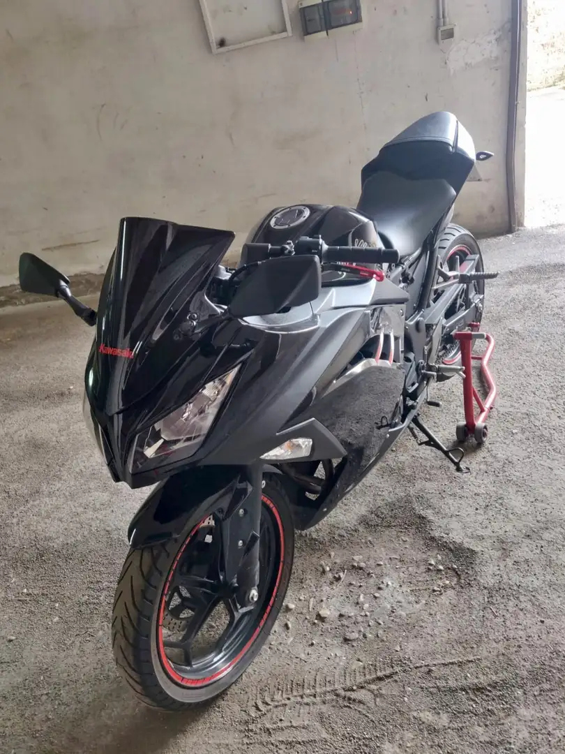 Kawasaki Ninja 300 Siyah - 2