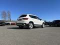 SEAT Ateca 2.0 TDI DSG X-PERIENCE 163€ m. 20% Anzahlung Pan Weiß - thumbnail 5