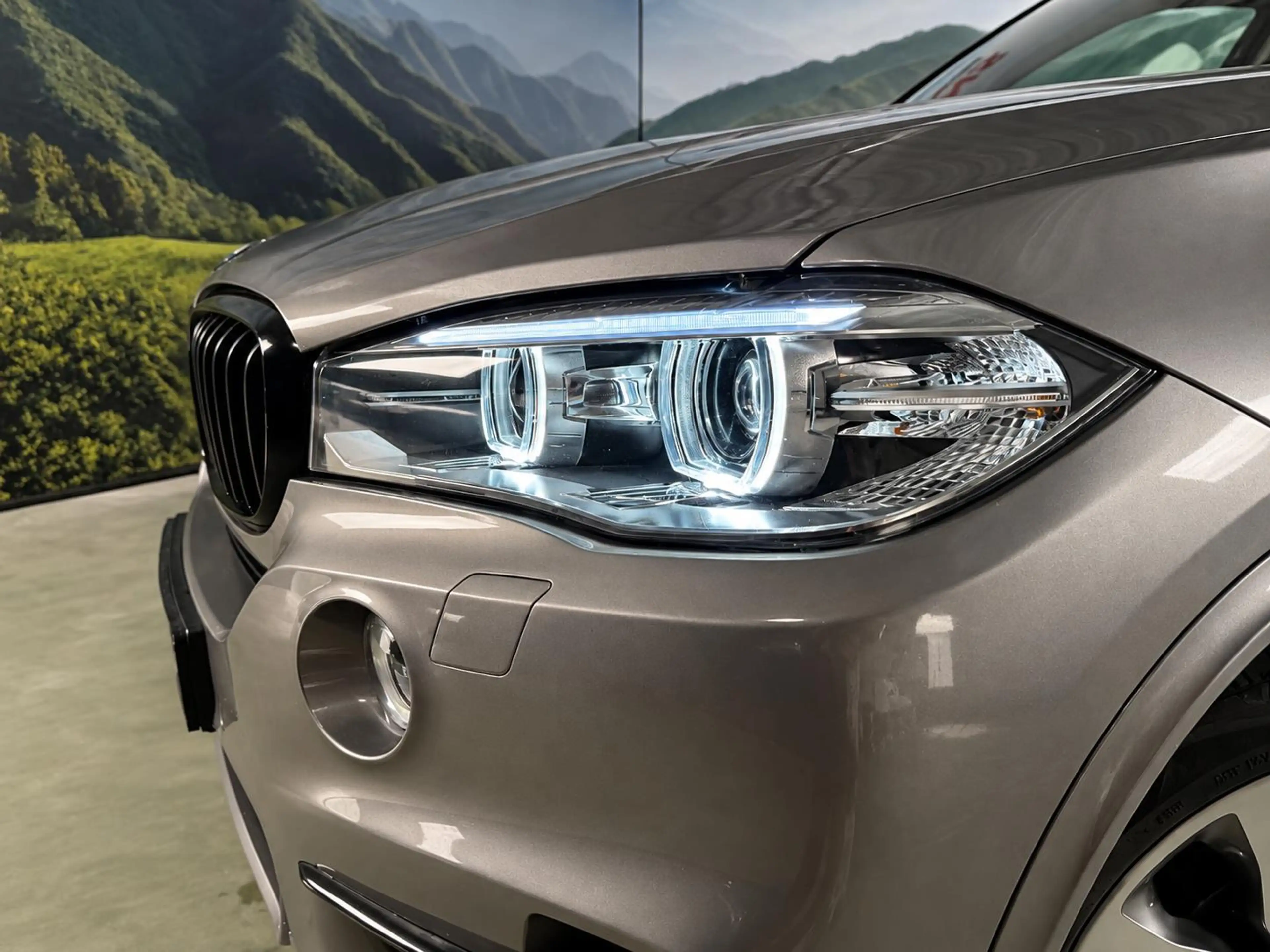 BMW X5 xDrive iPerformance l Pano l SOH 95% l trekhaak l — photo 2