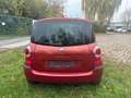 Renault Modus Exception Rot - thumbnail 3