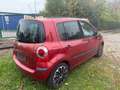 Renault Modus Exception Rot - thumbnail 5