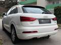 Audi Q3 2.0 TDI OUATTRO*KLIMA*TEMPOMAT*AHK*KREDIT MÖGLICH Weiß - thumbnail 12
