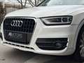 Audi Q3 2.0 TDI OUATTRO*KLIMA*TEMPOMAT*AHK*KREDIT MÖGLICH Weiß - thumbnail 7